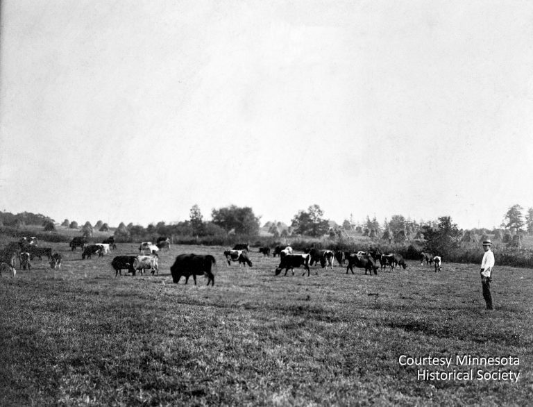 Prior to construction of the Twin Cities Assembly Plant, the area known today as Highland Park consisted almost entirely of fields and a few scattered farmhouses. Courtesy Minnesota Historical Society